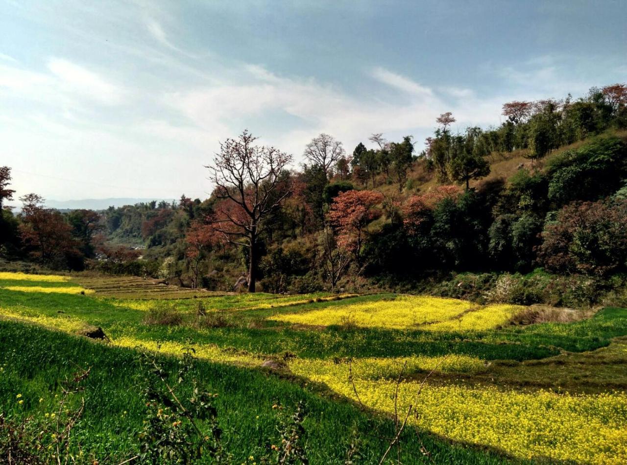 Rakkh Resort, A Member Of Radisson Individuals Retreats Pālampur Exterior foto